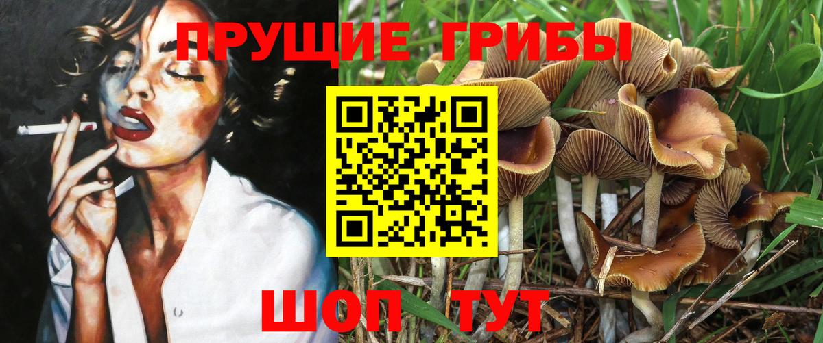 Галлюциногенные грибы прущие грибы  Галлюциногенные грибы Cubensis  Вход с VPN  Избербаш 