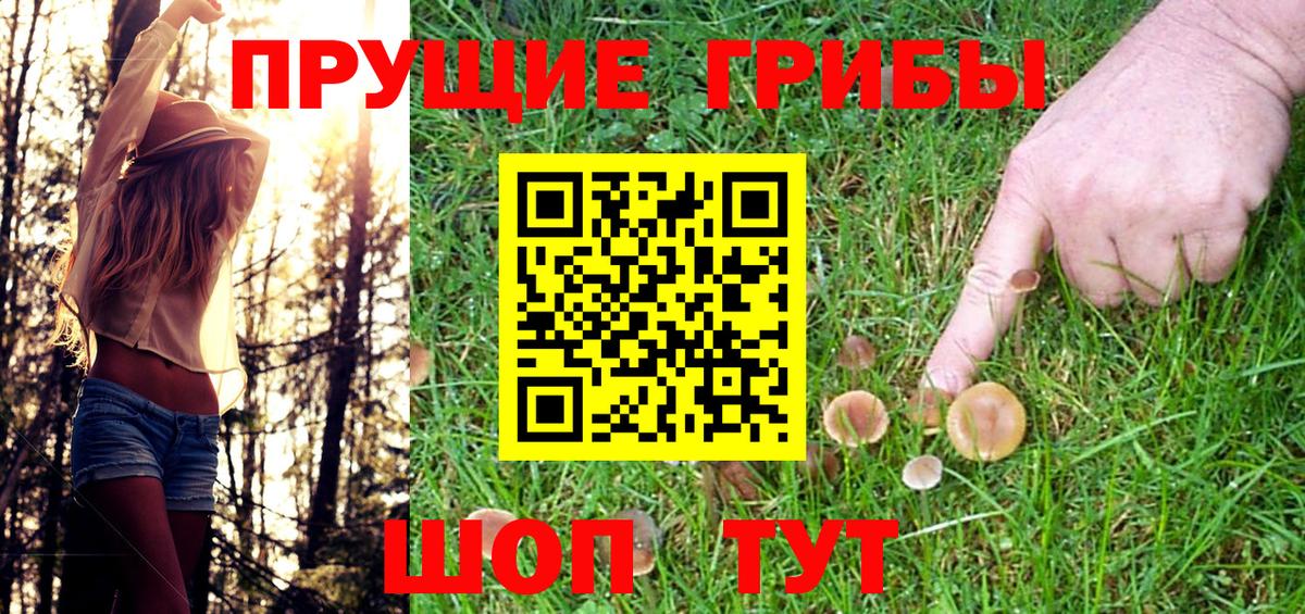 Псилоцибиновые грибы мицелий Избербаш